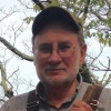 Don Harris Auction Solutions