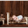 Mary Tweedy Photography