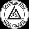 Gracie Jiu Jitsu Michigan