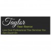 Taylor Tree Service