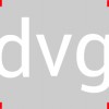 Data Vision Group
