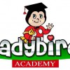Ladybird Academy