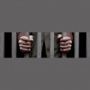 All Out Bail Bonds