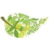 Acupuncture Wellness & Fertility Clinic