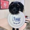 Baxter County Animal Clinic