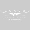 Pegasus Aviation Service