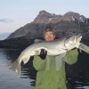 State Of Mind Fishing Charters