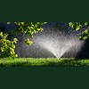 Shoreline Irrigation