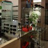 Hour Glass Optical