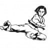 Grandmaster H.K. Lee TaeKwonDo
