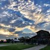 Verona Vineyards