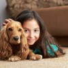 Regal Carpet Cleaning