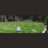 Henderson Fertilizing
