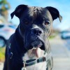 Run & Done Walks