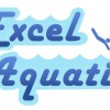 Excel Aquatics