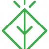 Drayton Chiropractic