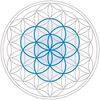 Energy Medicine Consulting