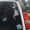 Auto Glass Smith