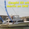 Rebel Sportfishing