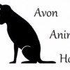 Avon Animal Hospital