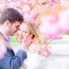 Ryan TR Wedding Photography