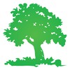 Hamm's Arborcare