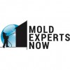 Mold Experts Now