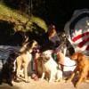 Pawderosa Pet Care