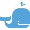 Little Whale Swim School