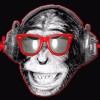 Discosapien DJs