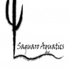 Saguaro Aquatics