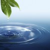 Audrey Adkins Transformational Life Coaching