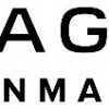Skagen Designs