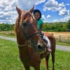 VjmEquestrian