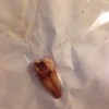 Minovi Dental