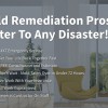 Mold Remediation & Water Restoration Pros