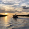 Low Tide Tours