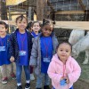 Ballena Family Child Care