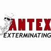 Antex Exterminating