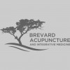 Brevard Acupuncture & Integrative Medicine