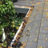 San Diego Rain Gutter Cleaning