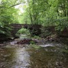 Nature Camp