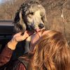 Make My Day Please Pet Service
