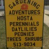 Gardening Adventures Perennials