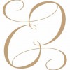 Elegant Events By Elisa