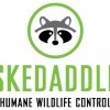 Skedaddle Humane Wildlife Control
