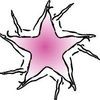 Star Pilates