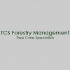 Tree Care Specialists