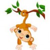 Hahn Pediatric Group