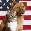 Brunswick Veterinary Clinic